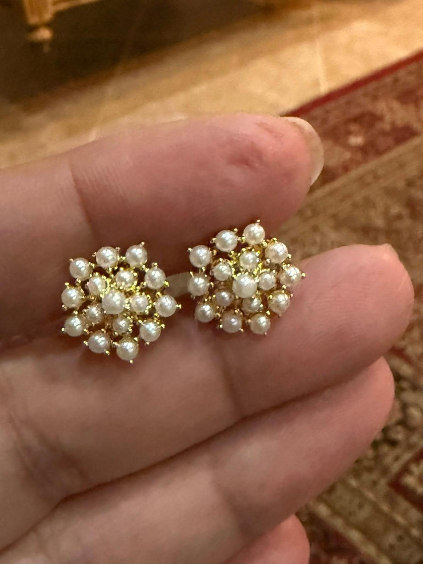 Moti Grand Studs