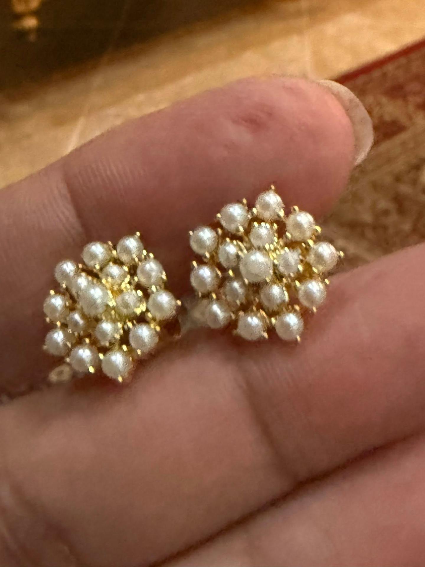 Moti Cluster Studs